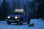 Tree-Hunt-027MOD.jpg