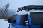 Tree-Hunt-020MOD.jpg