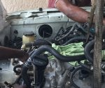 IMG_6344.jpeg