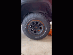 Bat-Spinner.gif