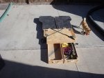 DSC02931.jpg